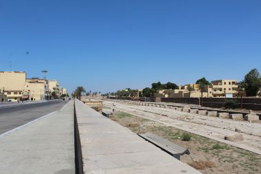 Looking North on the Avenue of Sphinxes (towards Karnak temple)