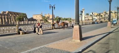 Avenue Leading to Luxor Temple