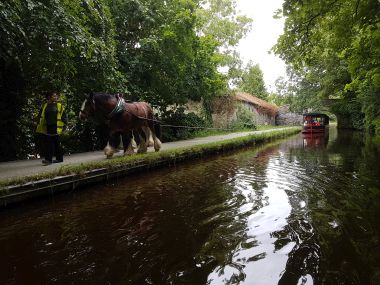 Horse Drawn Boat Tours