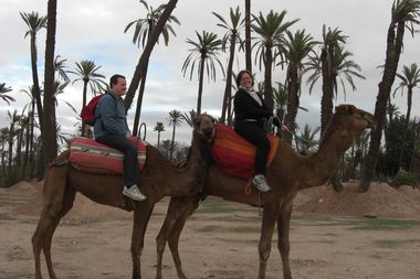 Camel Riding