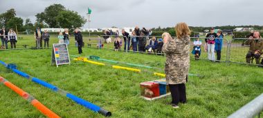 Ferret Racing!