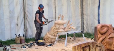 Chainsaw Carving