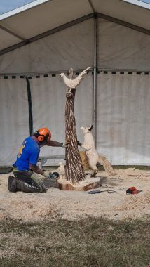 Chainsaw Carving Bird on Stump Chainsaw Carving Bird on Stump