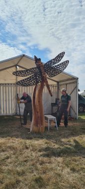 Chainsaw Carving - Dragonfly Chainsaw Carving - Dragonfly