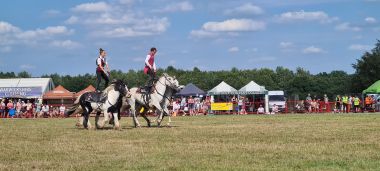 Standing On Horses Standing On Horses