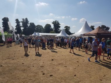 Crowds