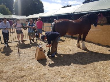 Shoeing