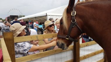 Horse with Mel