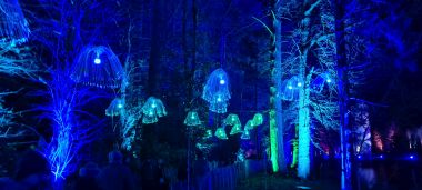 Jelly Fish Lights