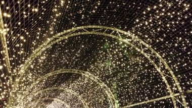 Tunnel of Lights