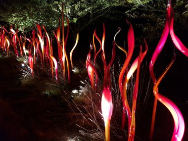 Cattails and Copper Birch Reeds