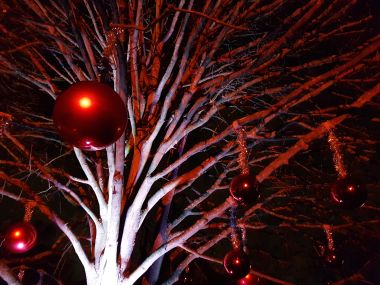 Decorated Trees