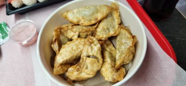 Chicken Gyoza Chicken Gyoza