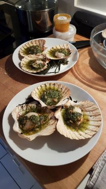 Scallops