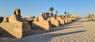 Sphinx Avenue