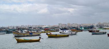 Fishing Fleet