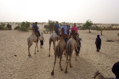 Camel Trip