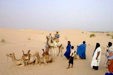 camel4.jpg