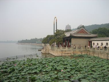 Longevity Hill from the Lake