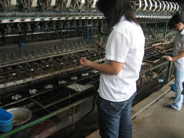 Silk Extraction (Shanghai)