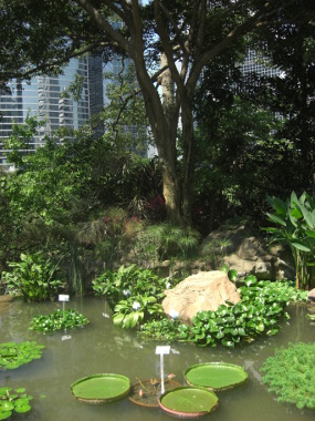 Inside the Conservatory