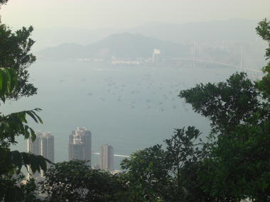 View of Bridges in the Harbour