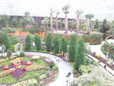 Inside the Flower Dome