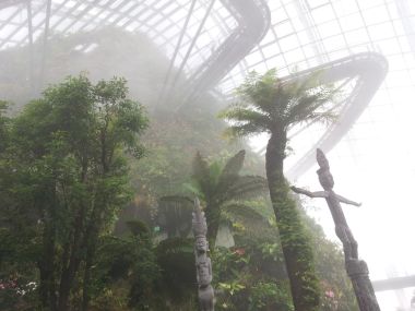 Suspended walkways through the mist