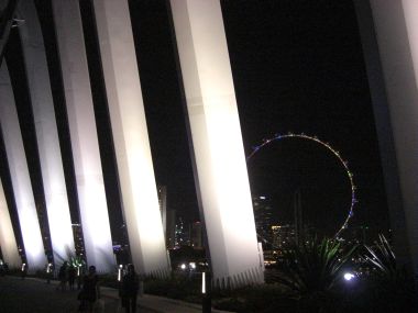 View of Singapore Flyer from Gardens by the Bay