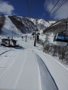 Up the Gondola