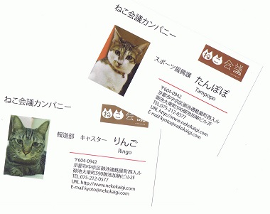 Cat Cards!