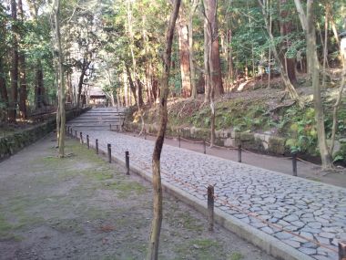 Path to...the closed temple