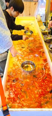 Goldfish Scooping