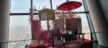 Sakura Display
