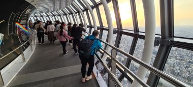Tembo Galleria Viewing Platform