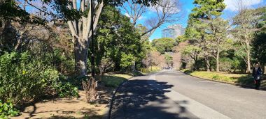 Road Away from Palace