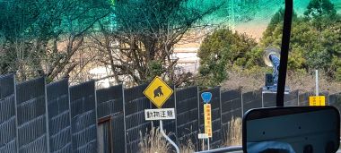 Caution - Monkeys!