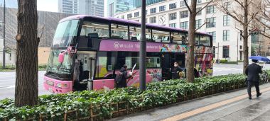 Pink Bus