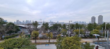 Harbour from Mall
