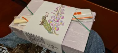 Bento Unopened