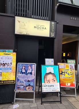 Cat Café Signs