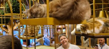 Mel Looking at Hanging Cat