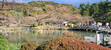 Maruyama Park Japanese Gardens