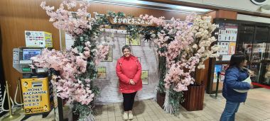 Cherry Blossoms and a Treasure