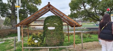 Cute Topiary