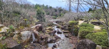 Rocks in the Garden