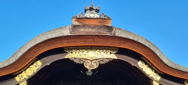Thatch Roof?