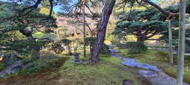 Garden Path