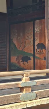 Paintings