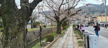 Canal and Stone Path with...Cherry Blossoms